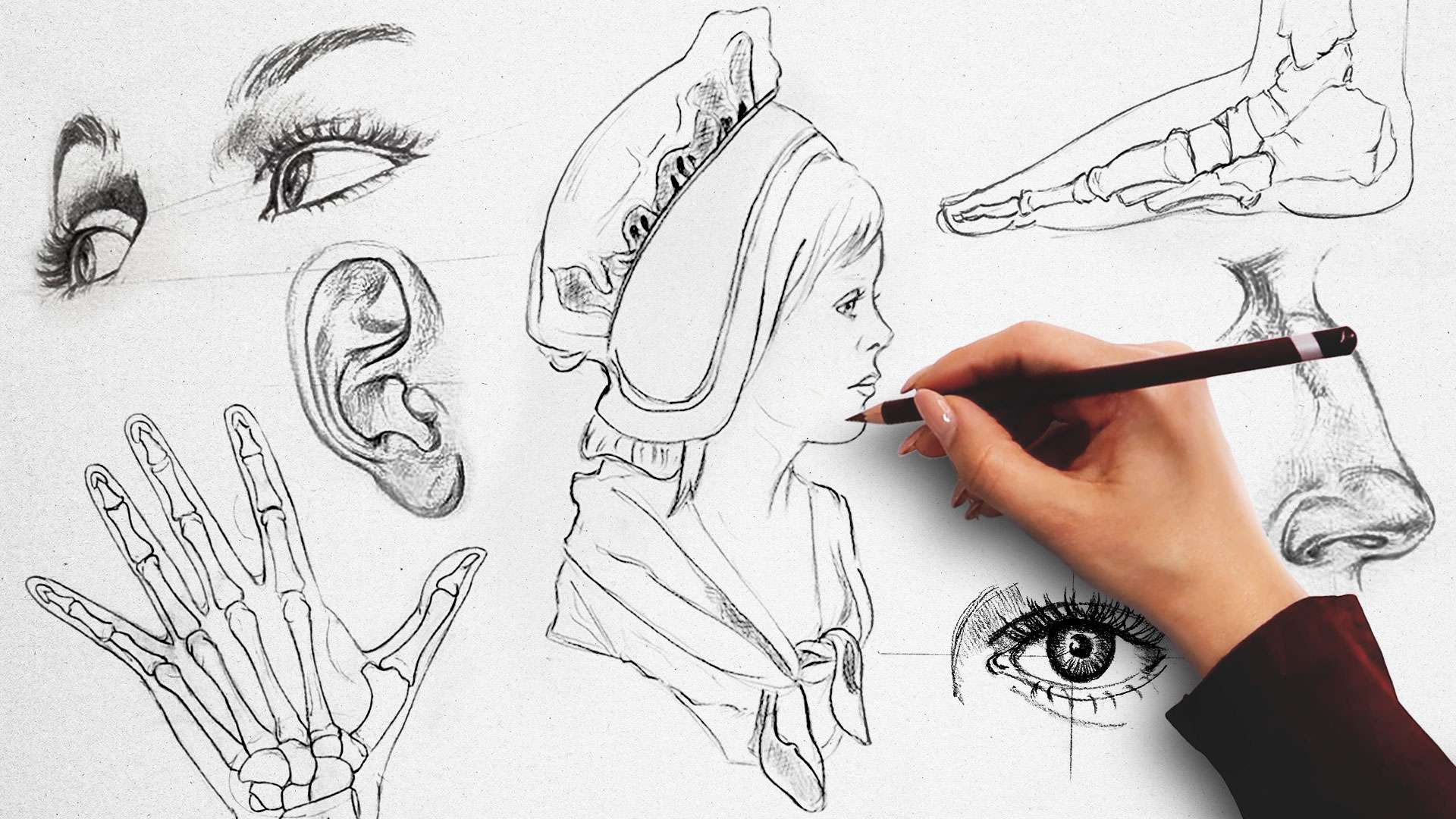 Online Drawing Collection | Learn How To Draw